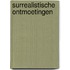 Surrealistische ontmoetingen