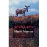 Sevillana door M. Meester