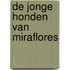De jonge honden van Miraflores