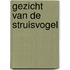 Gezicht van de struisvogel
