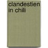 Clandestien in chili