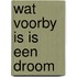 Wat voorby is is een droom
