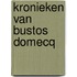 Kronieken van bustos domecq