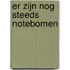 Er zijn nog steeds notebomen
