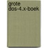 Grote dos-4.x-boek