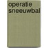 Operatie Sneeuwbal