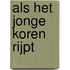 Als het jonge koren rijpt