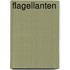 Flagellanten