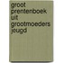 Groot prentenboek uit grootmoeders jeugd