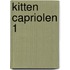 Kitten capriolen 1