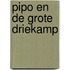 Pipo en de grote driekamp