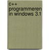 C++ programmeren in windows 3.1 door Roetzheim