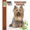 De Yorkshire terrier by Sandy Bergstrom Mesmer