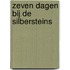 Zeven dagen bij de Silbersteins