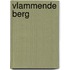 Vlammende berg