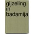 Gijzeling in Badamija