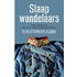 Slaapwandelaars