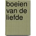 Boeien van de liefde