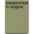 Wespennest in Angola