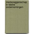 Medezeggenschap in kleine ondernemingen