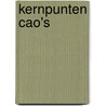 Kernpunten CAO's by J.J. Gerritse