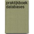 Praktijkboek databases