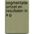 Segmentatie omzet en resultaten in e.g.
