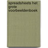 Spreadsheets het grote voorbeeldenboek door Bruin