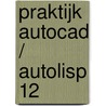 Praktijk Autocad / Autolisp 12 door Onbekend
