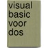 Visual basic voor dos