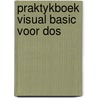 Praktykboek visual basic voor dos by Sluman