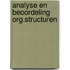 Analyse en beoordeling org.structuren