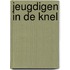 Jeugdigen in de knel