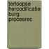 Terloopse hercodificatie burg. procesrec