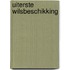 Uiterste wilsbeschikking