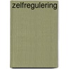 Zelfregulering by Driel