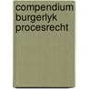 Compendium burgerlyk procesrecht door Stein