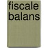 Fiscale balans
