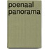 Poenaal panorama
