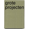 Grote projecten by Unknown