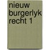 Nieuw burgerlyk recht 1