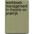 Werkboek management in theorie en praktijk