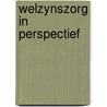 Welzynszorg in perspectief by Patricia Blok