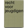 Recht voor jeugdigen by Langen
