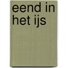 Eend in het ijs door Stouthamer