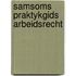 Samsoms praktykgids arbeidsrecht