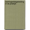 Leerlingenbegeleiding in de praktyk door Loermans