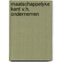 Maatschappelyke kant v.h. ondernemen