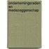 Ondernemingsraden en medezeggenschap