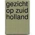Gezicht op zuid holland